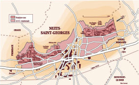 Courtesy of BIVB: Nuits Saint Georges